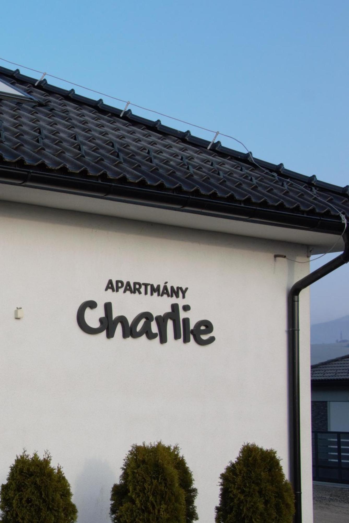 Apartmany Charlie เบเชนยอวา ภายนอก รูปภาพ